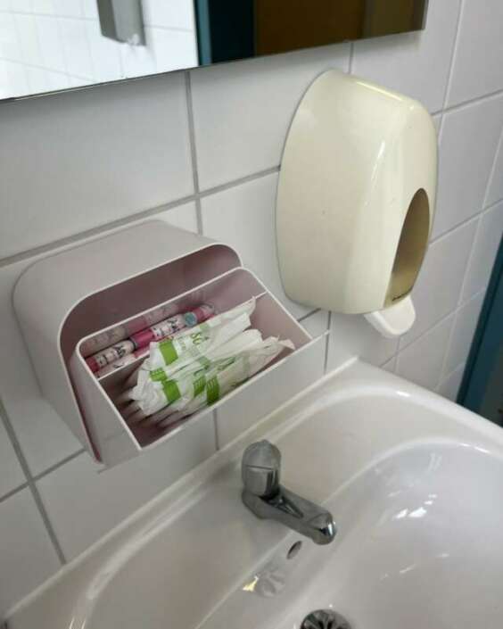 Hygieneboxen-GMG Boxen für Hygieneartikel auf den Mädchen WCs